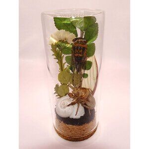 Real Cicada Luna Moth Wing Snail Shell Oddity Jar swamp goth witchy taxidermy